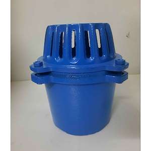 سوپاپ دنده ای استخری